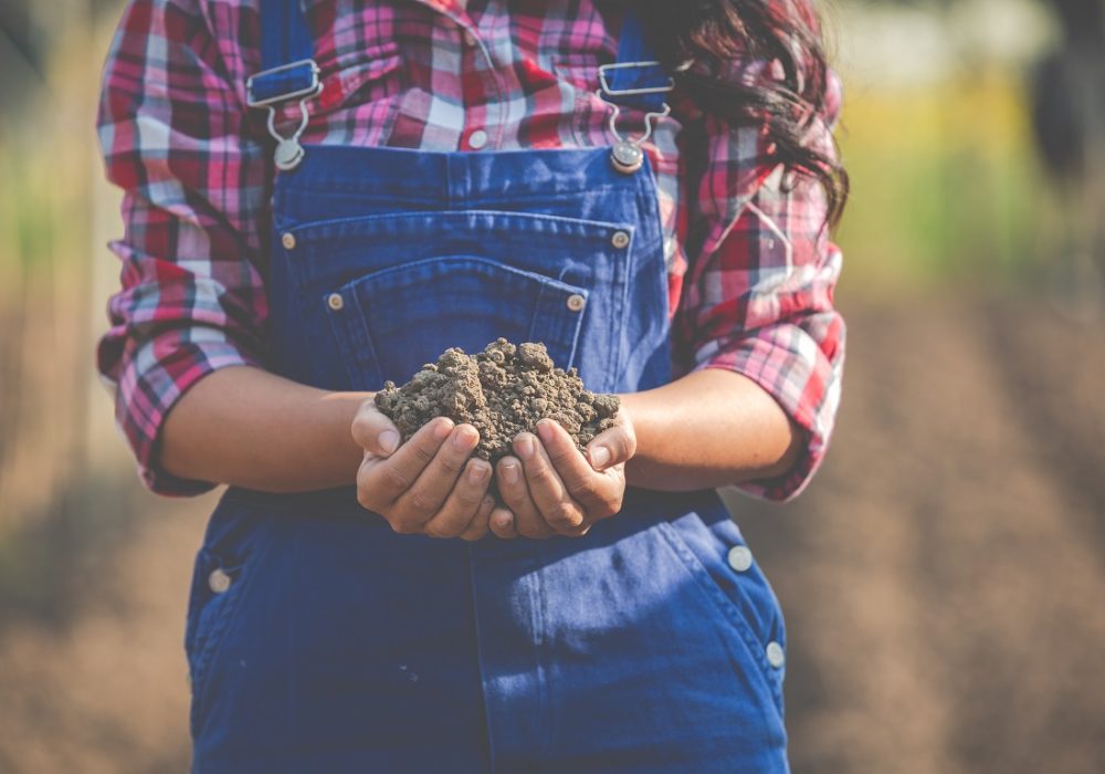 Women farmers are researching the soil.