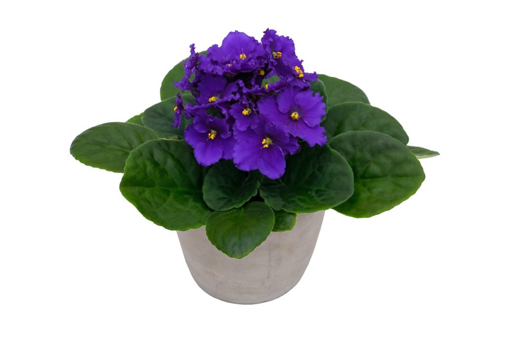 Produktfoto-6