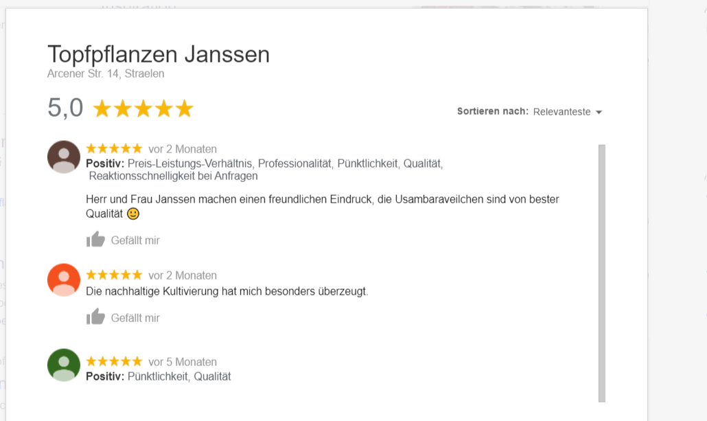 topfpflanzen_janssen_Google_Suche