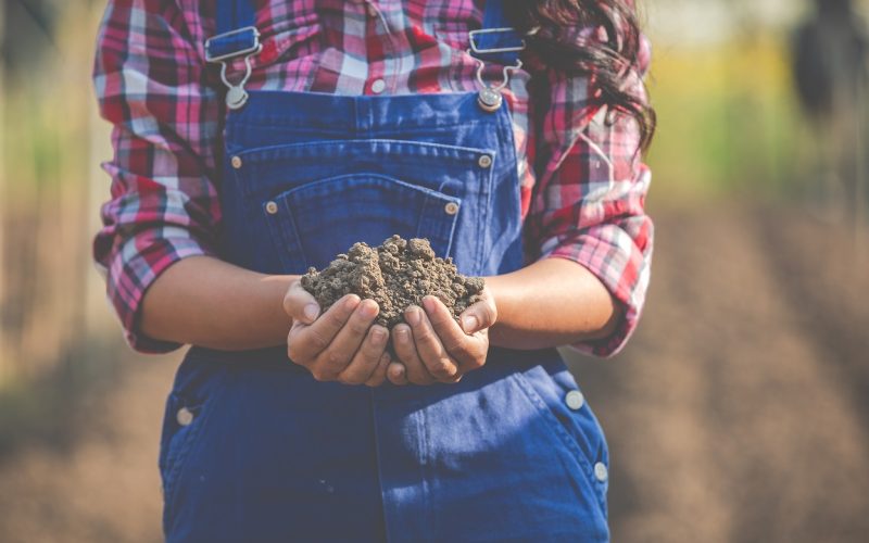 Women farmers are researching the soil.